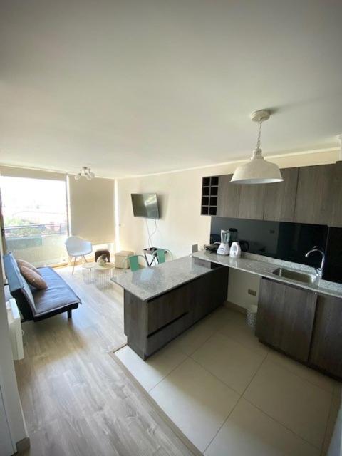 Loica Chile Apartment Сантяго Екстериор снимка