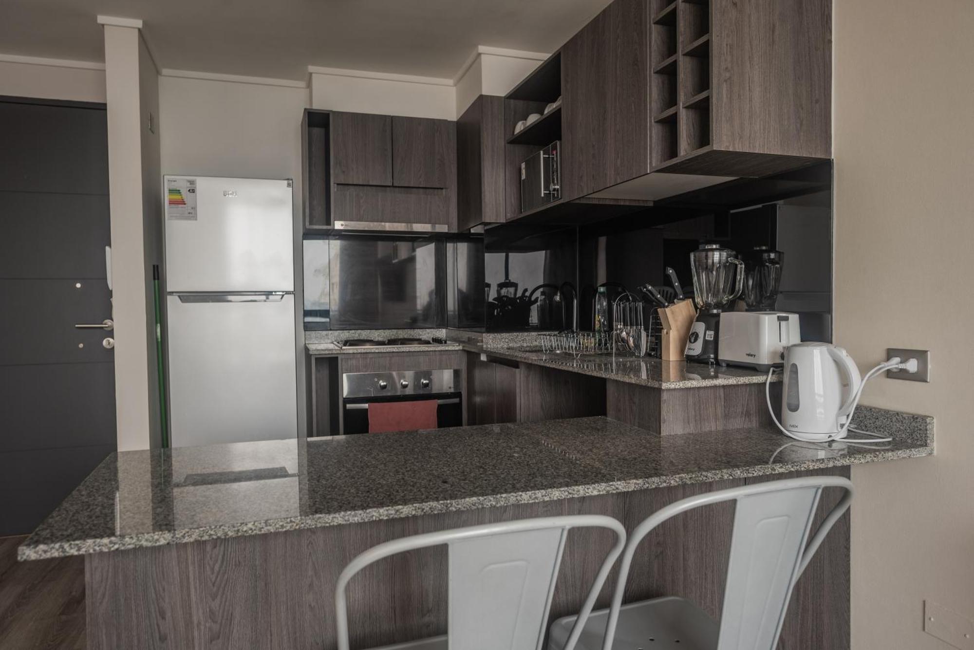 Loica Chile Apartment Сантяго Екстериор снимка